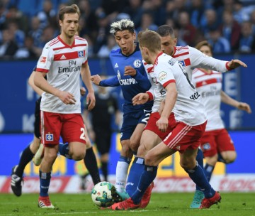 德甲:汉堡VS斯图加特 今日内附比赛解析扫盘预测